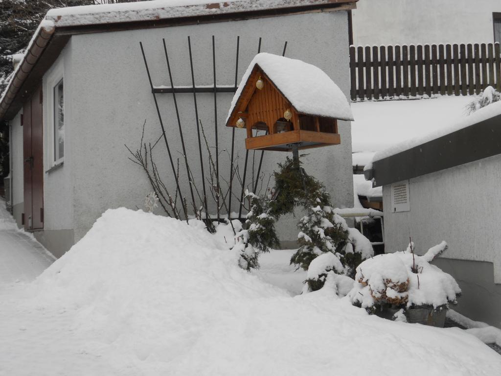 Ferienhaus Zittau Oberlausitz & Ferienwohnung Am Hamann Berg 외부 사진