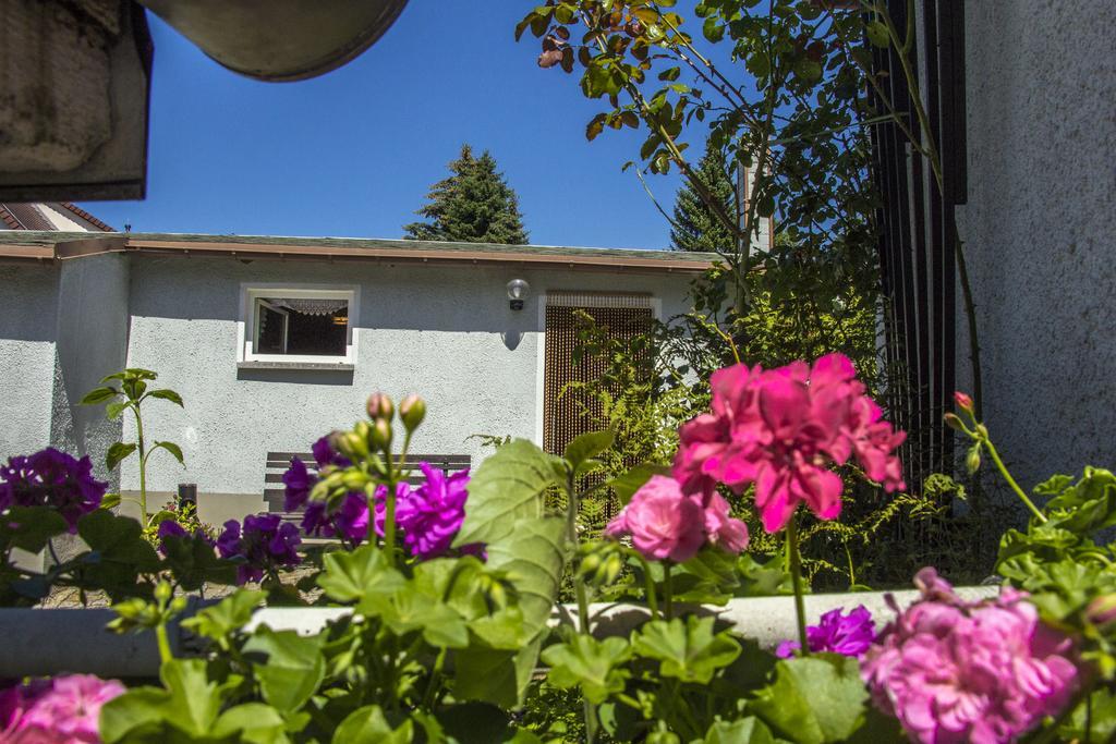 Ferienhaus Zittau Oberlausitz & Ferienwohnung Am Hamann Berg 외부 사진